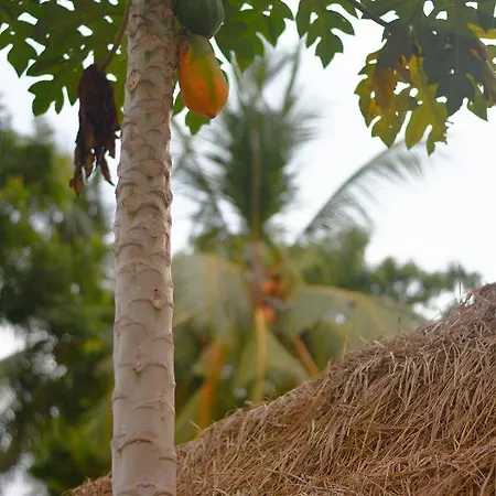 Cozzy White Villa Unawatuna Exterior photo