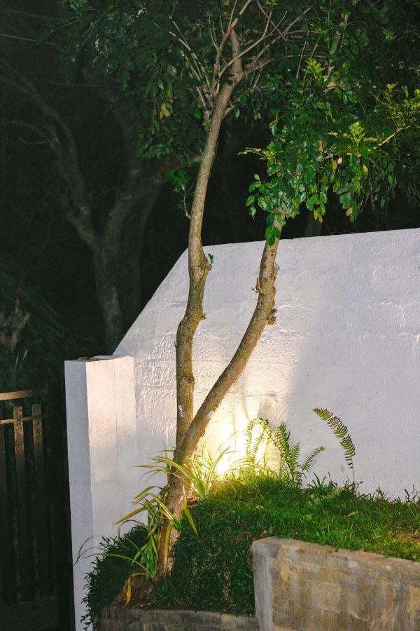 Villa Cozzy White