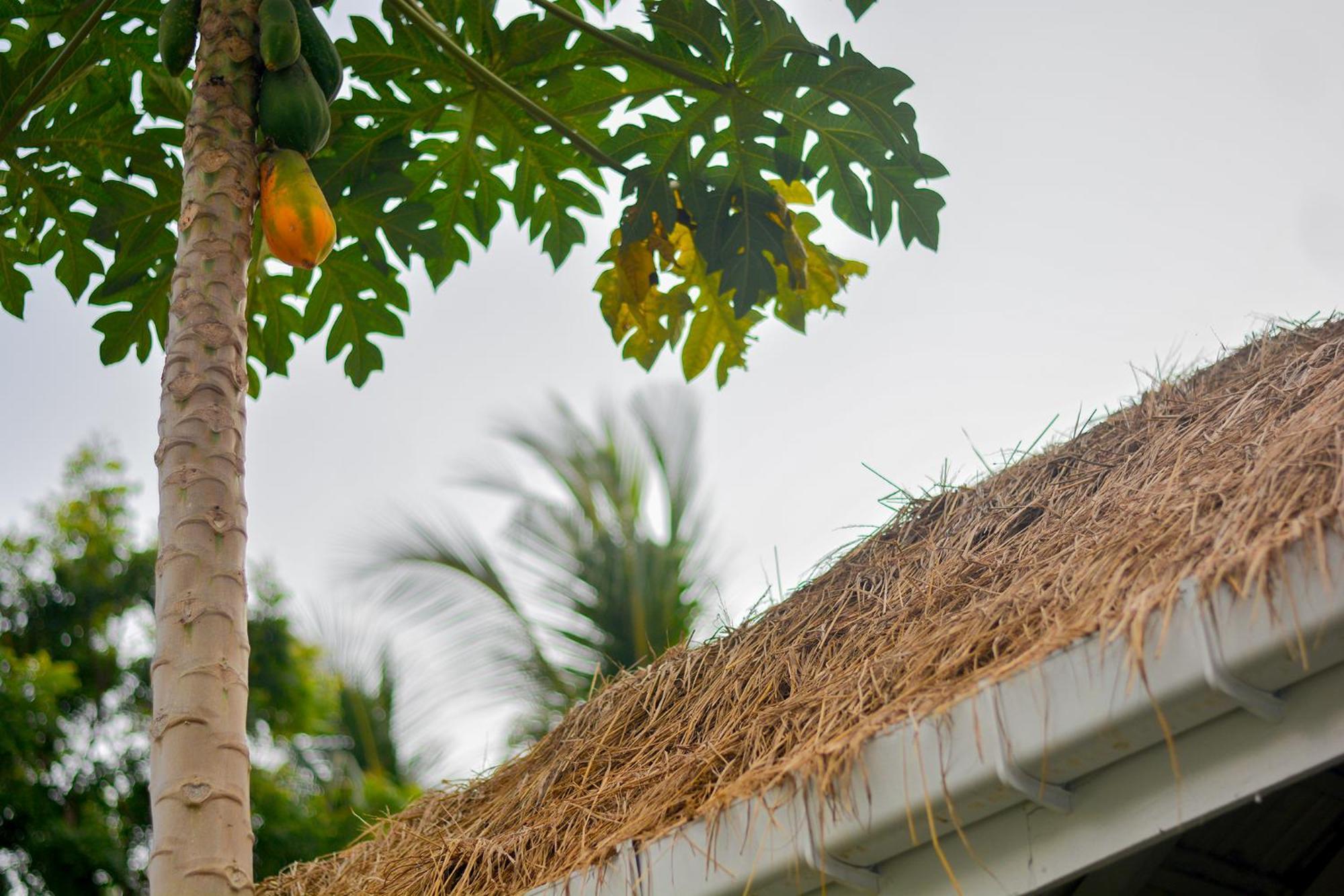 Cozzy White Villa Unawatuna